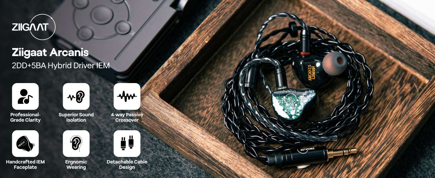 Amazon.com: Linsoul ZiiGaat Arcanis in Ear Monitor, Professional